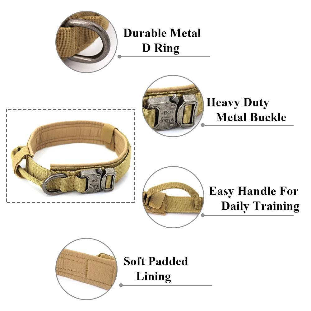 Adjustable Dog Training Collar and Leash