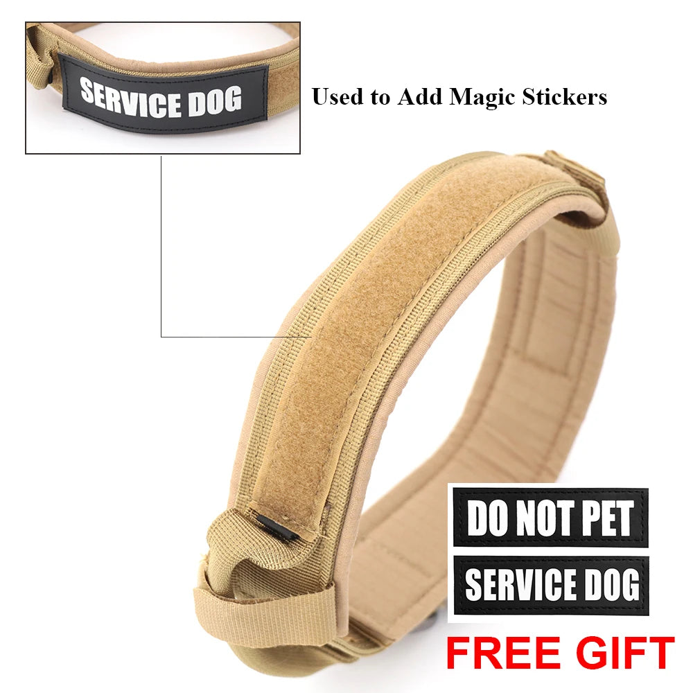 Adjustable Dog Training Collar and Leash