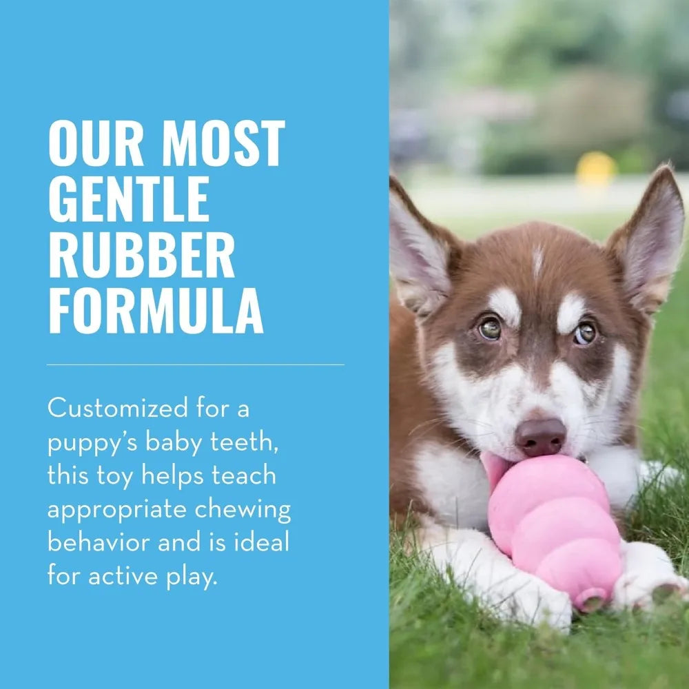 Teething Rubber Chew Toy