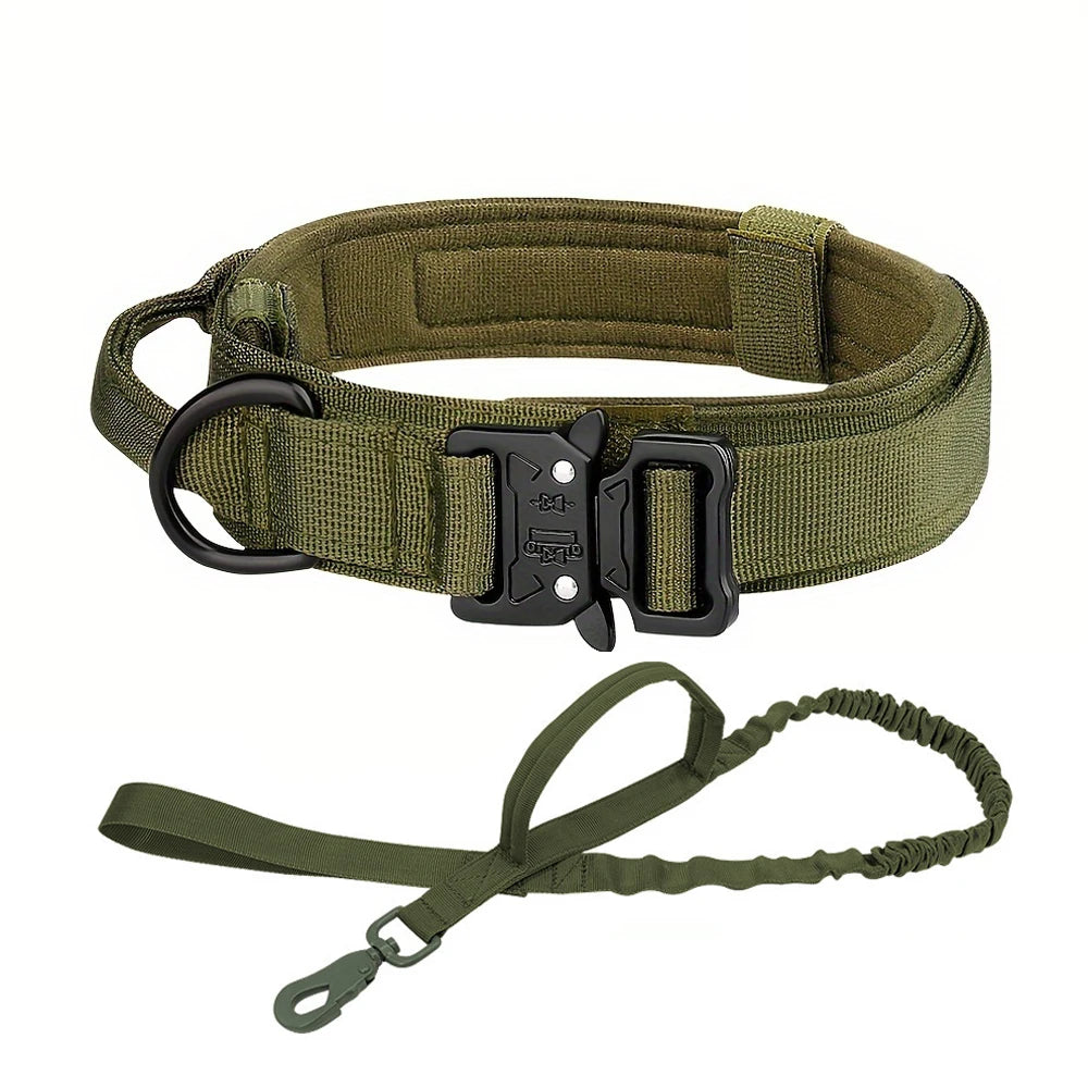 Adjustable Dog Training Collar and Leash