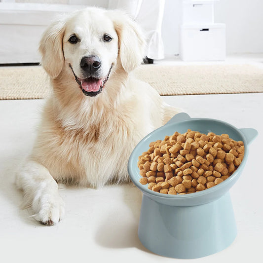 Raised Food Bowl