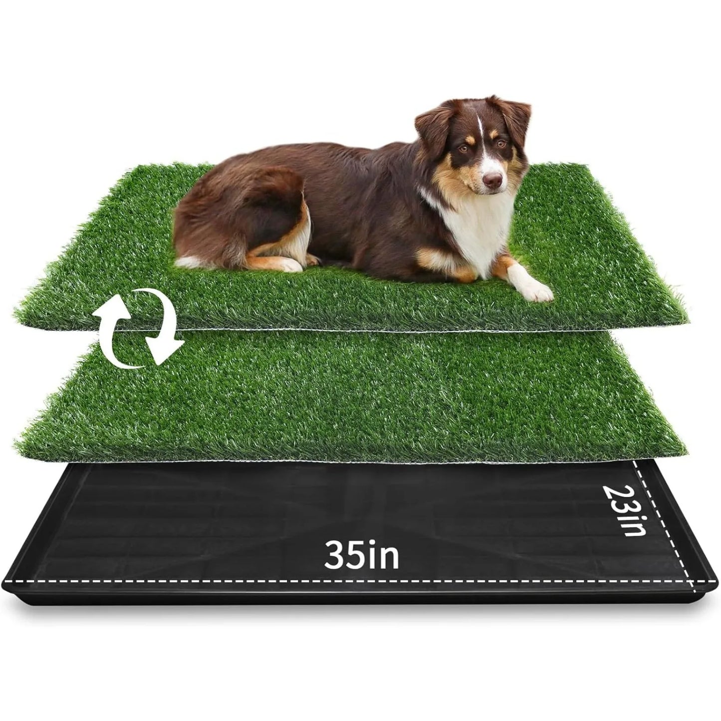 Dog Grass Potty Tray