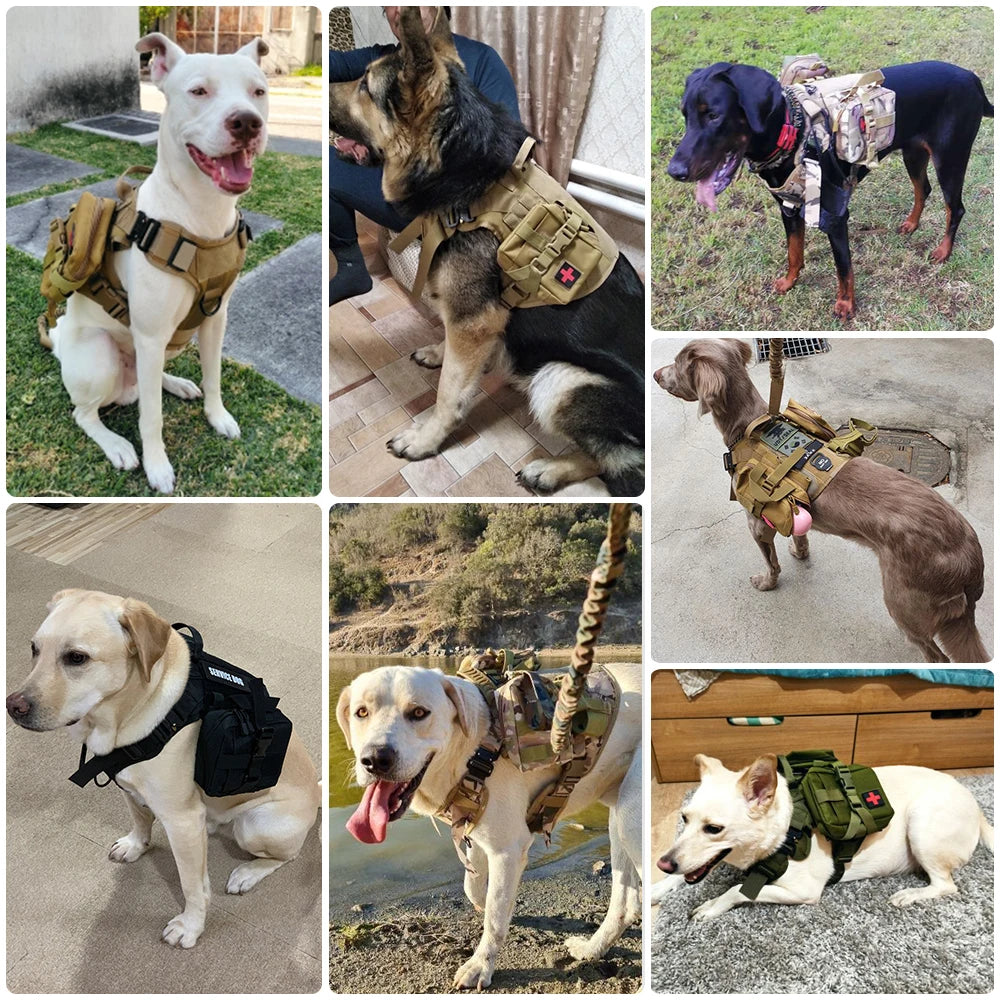 Military Dog Harness, Collar, and Leash Set: Large, tactical vest for training German Shepherds and other medium to large dogs.