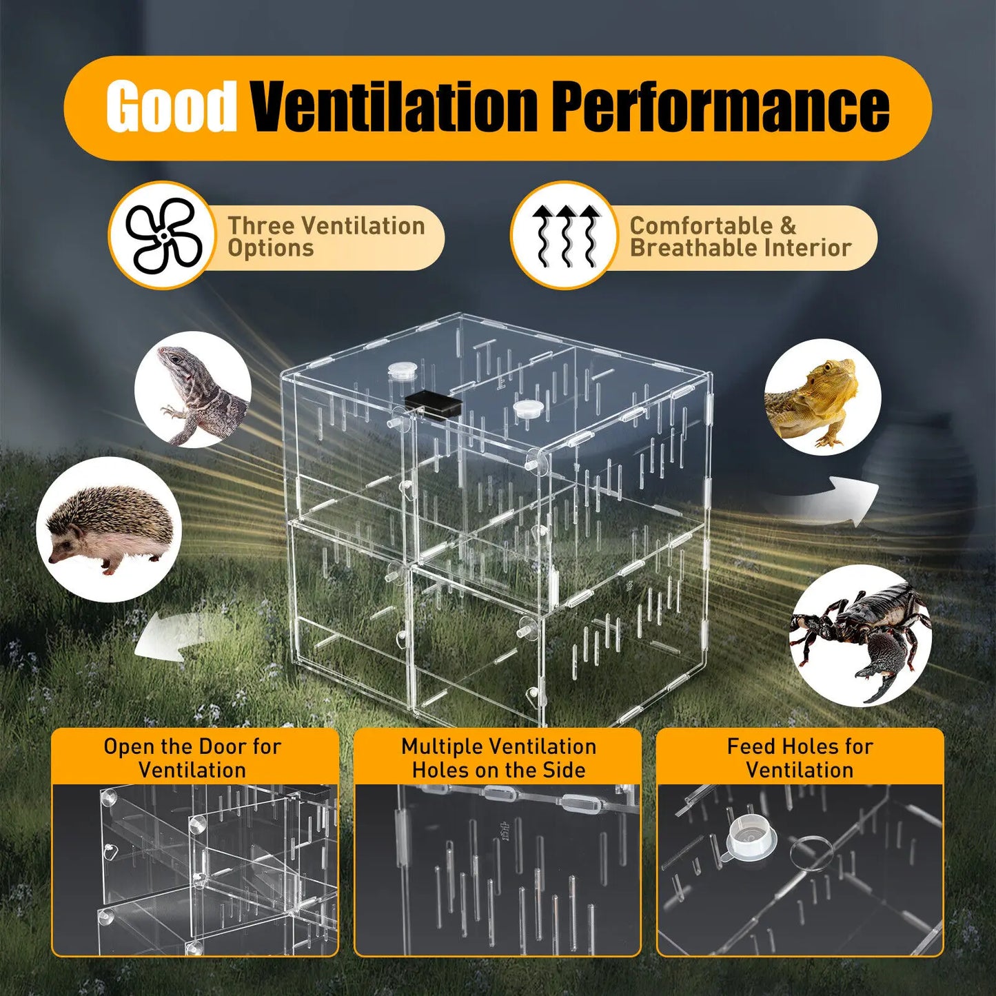 4 Grids Acrylic Pet Reptile Cage