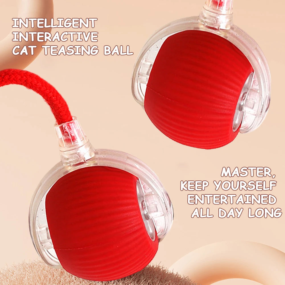 Cat Interactive Ball Toys