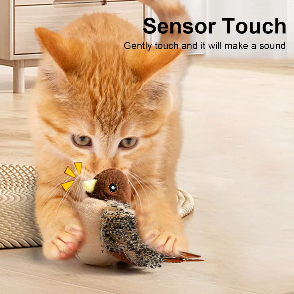 Interactive Cat Toys