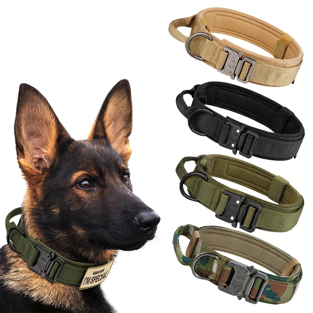 Adjustable Dog Training Collar and Leash