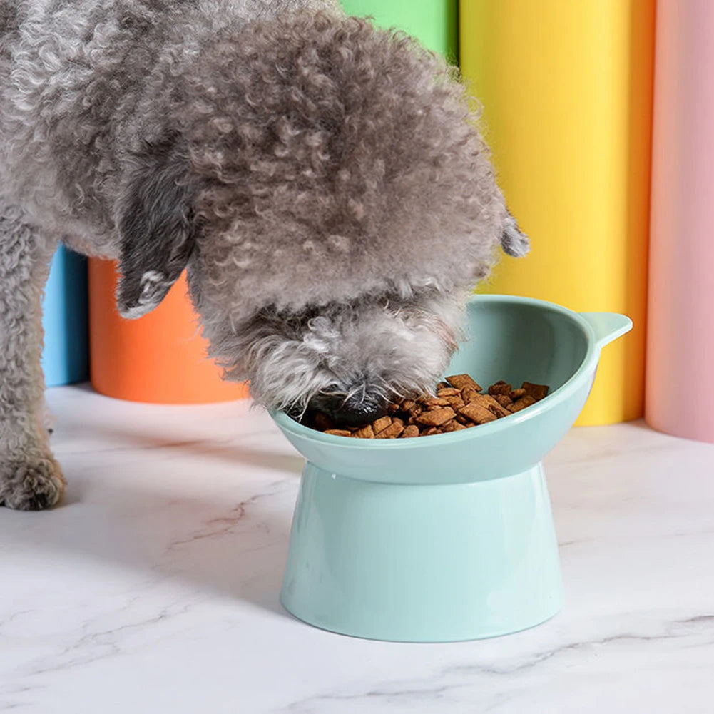 Raised Food Bowl