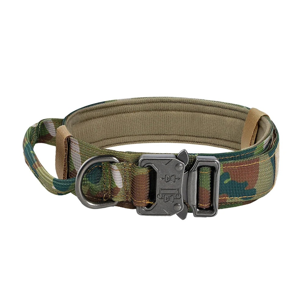 Adjustable Dog Training Collar and Leash