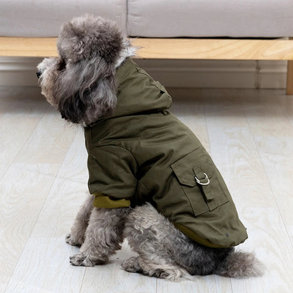 Dog Jacket With Harness