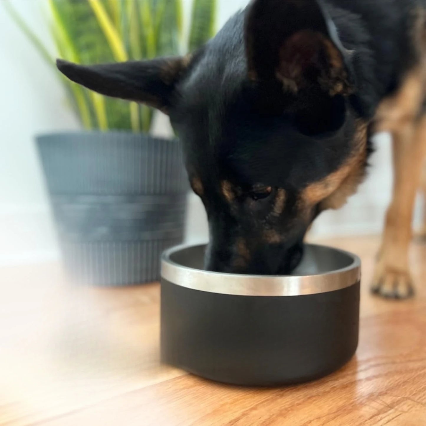 Non-slip dog bowl