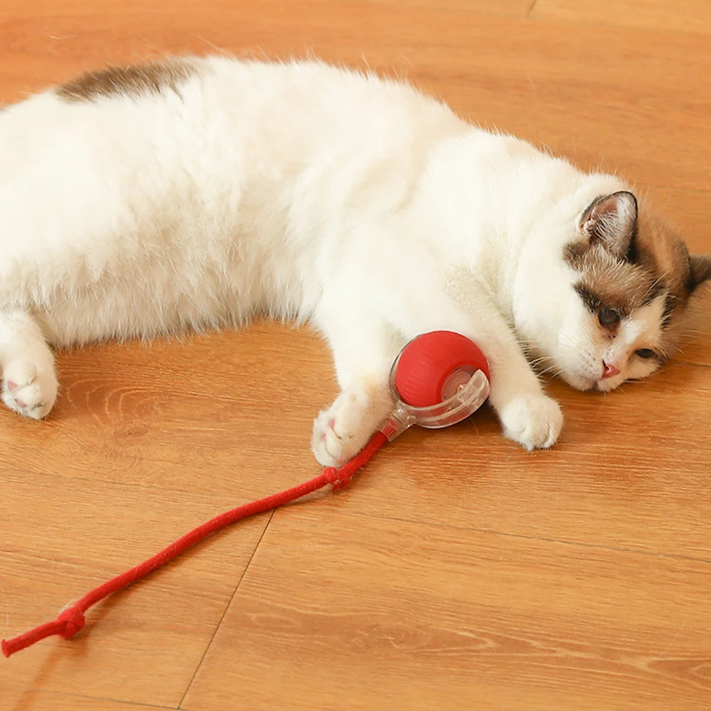 Cat Interactive Ball Toys