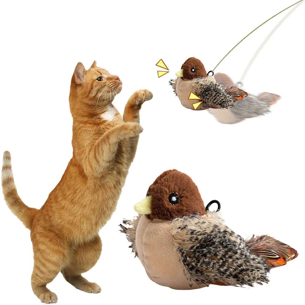 Interactive Cat Toys