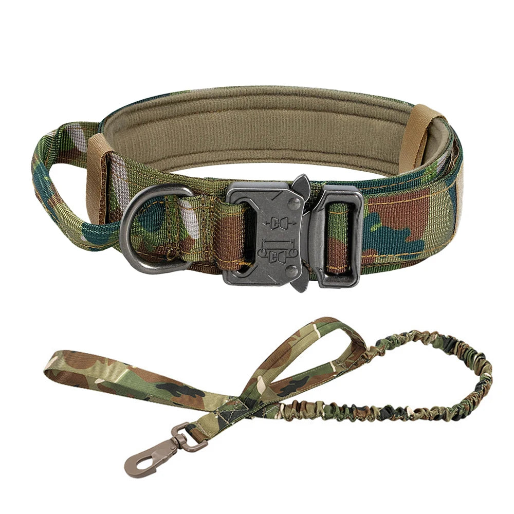 Adjustable Dog Training Collar and Leash