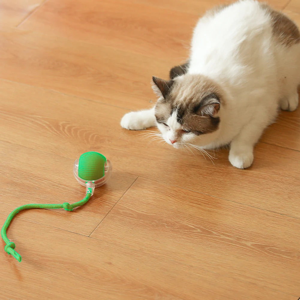 Cat Interactive Ball Toys