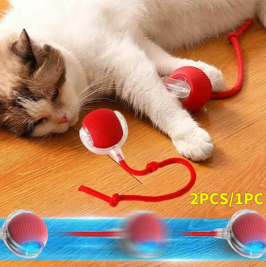 Cat Interactive Ball Toys