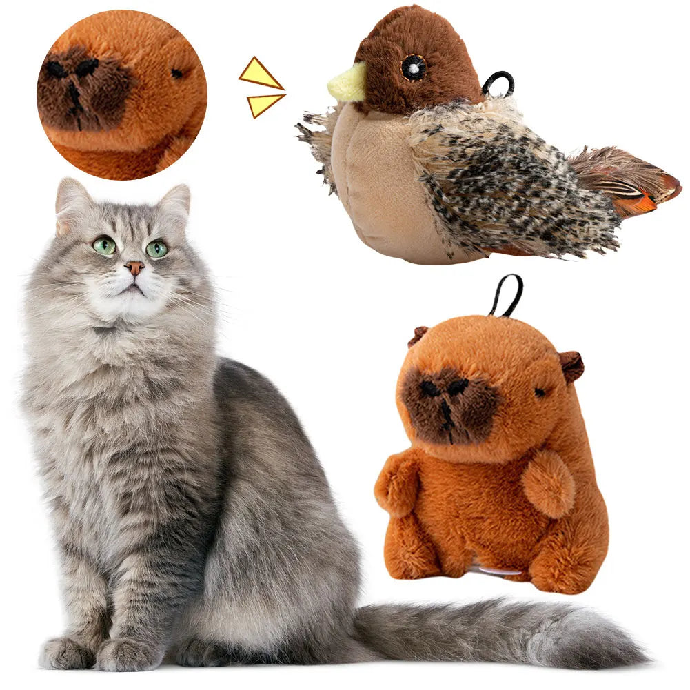 Interactive Cat Toys