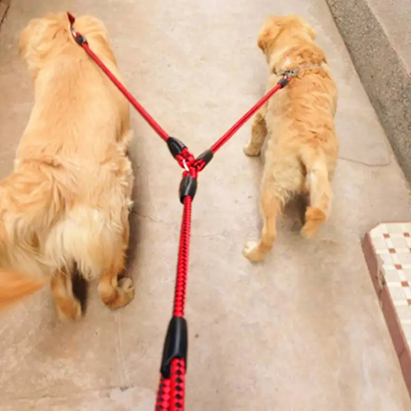 1.4m Dual Dog Leash: Walk two dogs comfortably with this elastic, tangle-free leash featuring dual couplers for outdoor training.