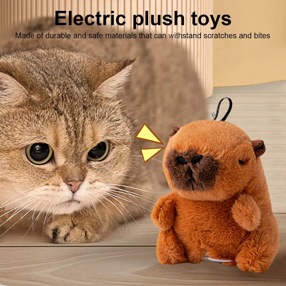 Interactive Cat Toys