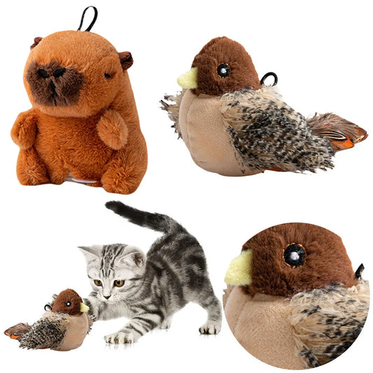 Interactive Cat Toys