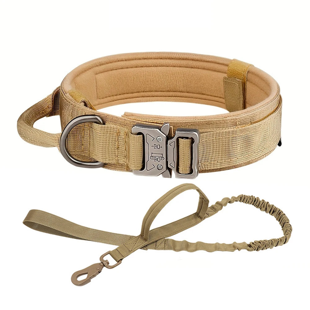 Adjustable Dog Training Collar and Leash