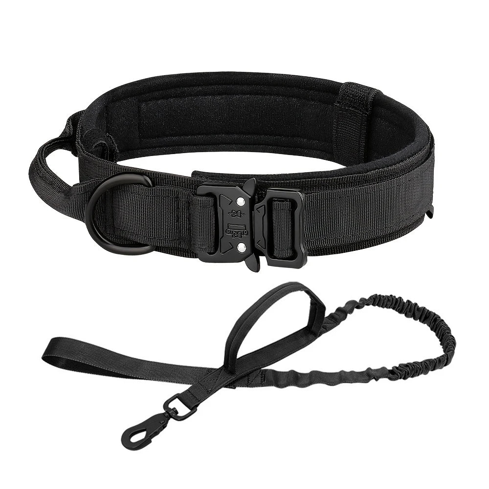 Adjustable Dog Training Collar and Leash