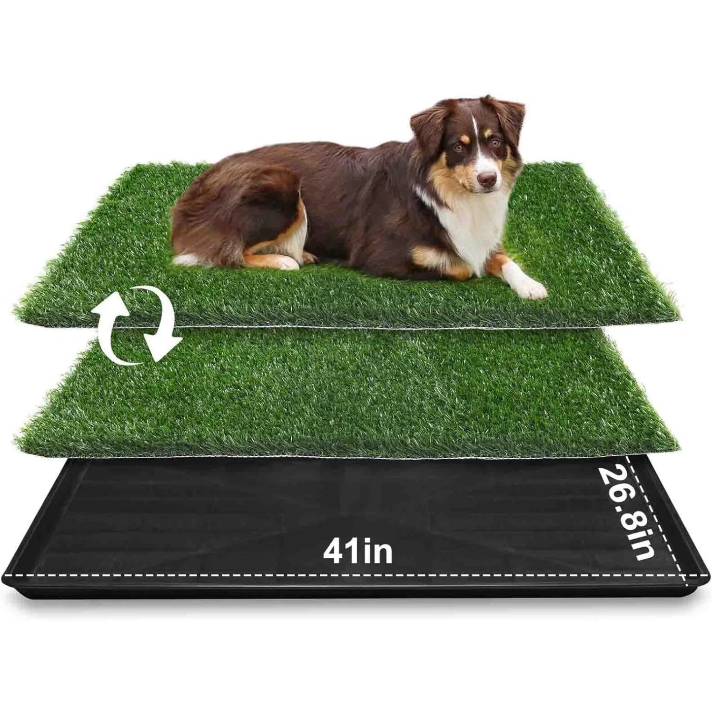 Dog Grass Potty Tray