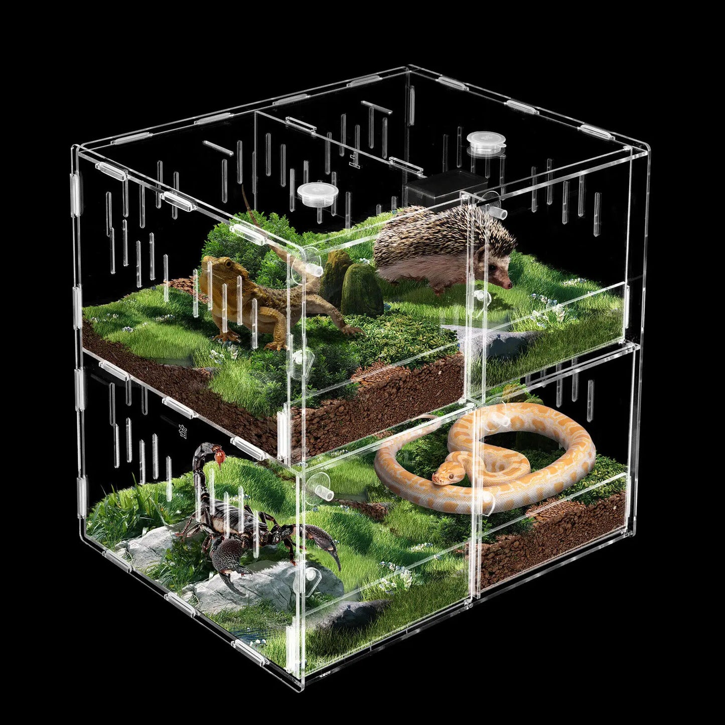 4 Grids Acrylic Pet Reptile Cage